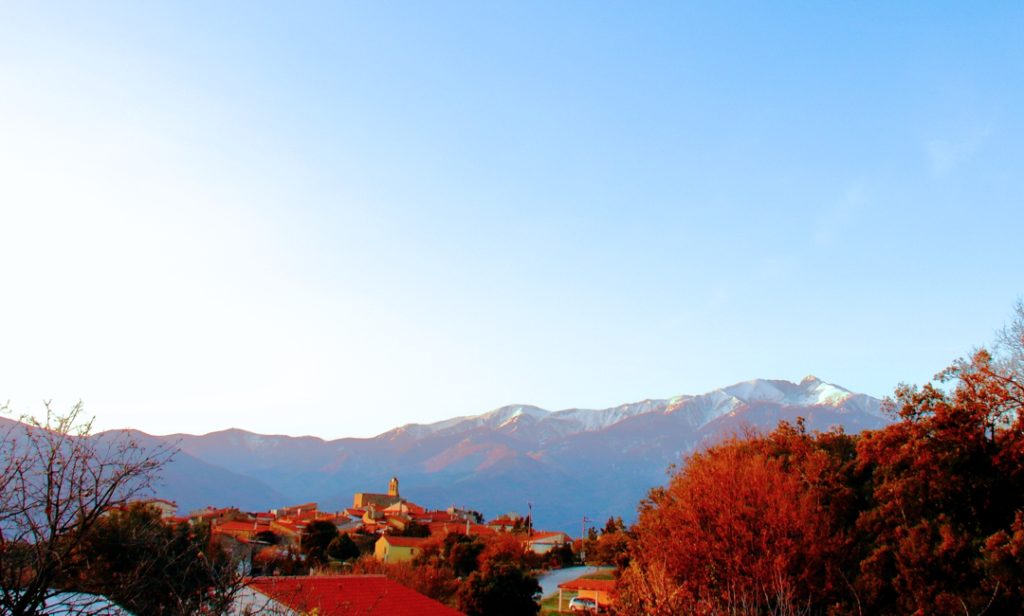 Vue depuis la parcelle au petit matin