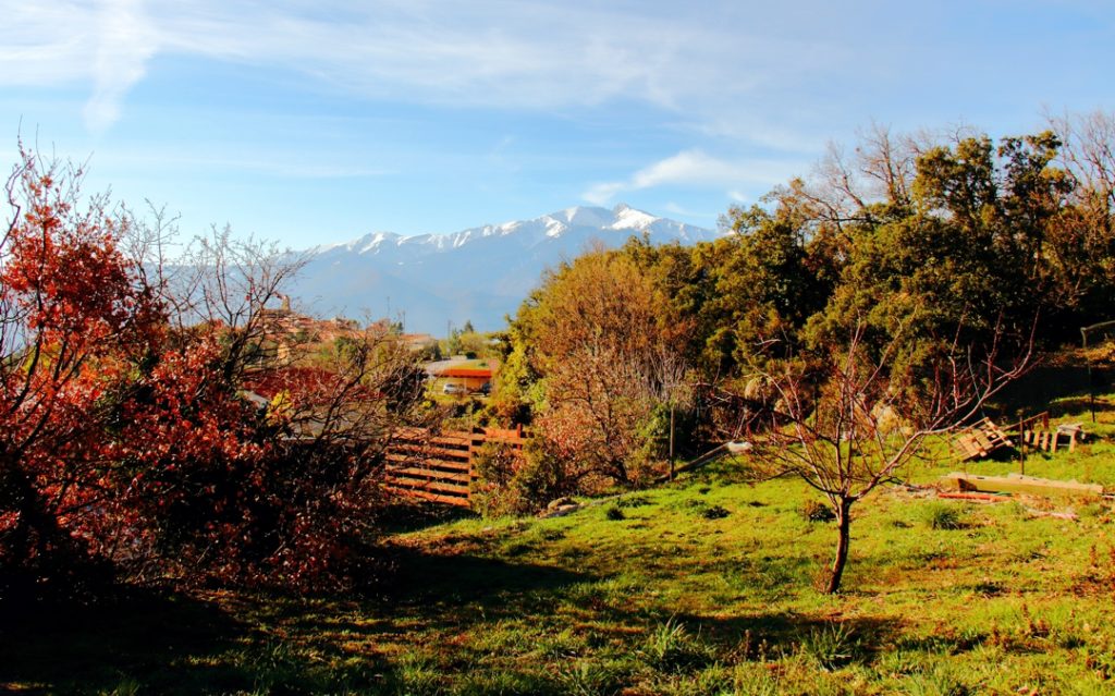 La parcelle à construire au petit matin d'hiver